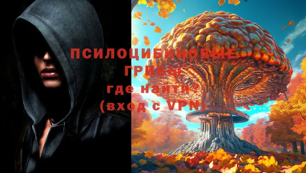 эйфоретик Инсар