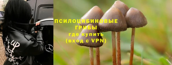 ALPHA-PVP Инта