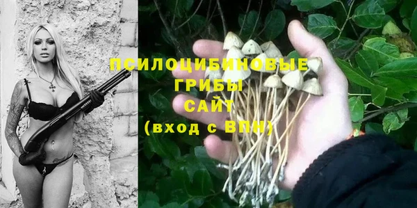 эйфоретик Инсар